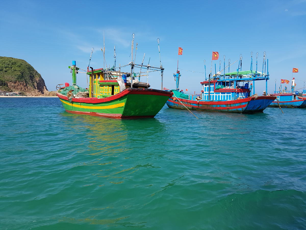 Scopri di più sull'articolo Goodbye, Vietnam